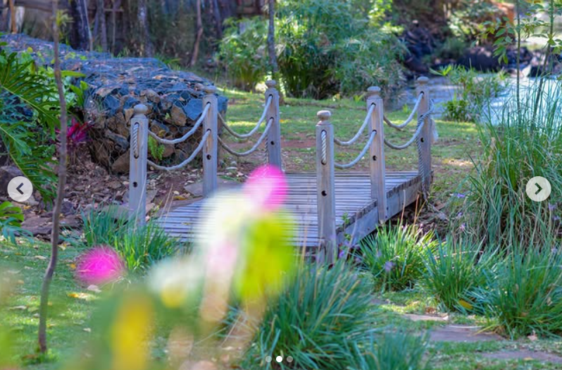 Wooden bridge over the river